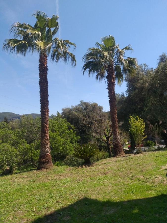 Vakantiehuis Hill House